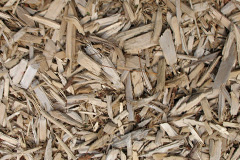 biomass boilers Llandegla